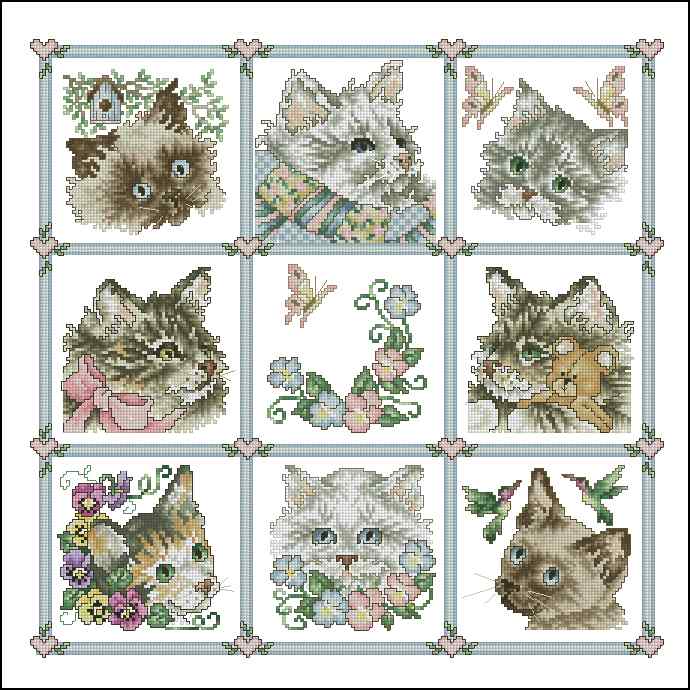 CMP 400539 Cute Cat Faces