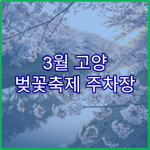 3월 고양 벚꽃축제 주차장 숨은 팁과 셔틀버스 시간