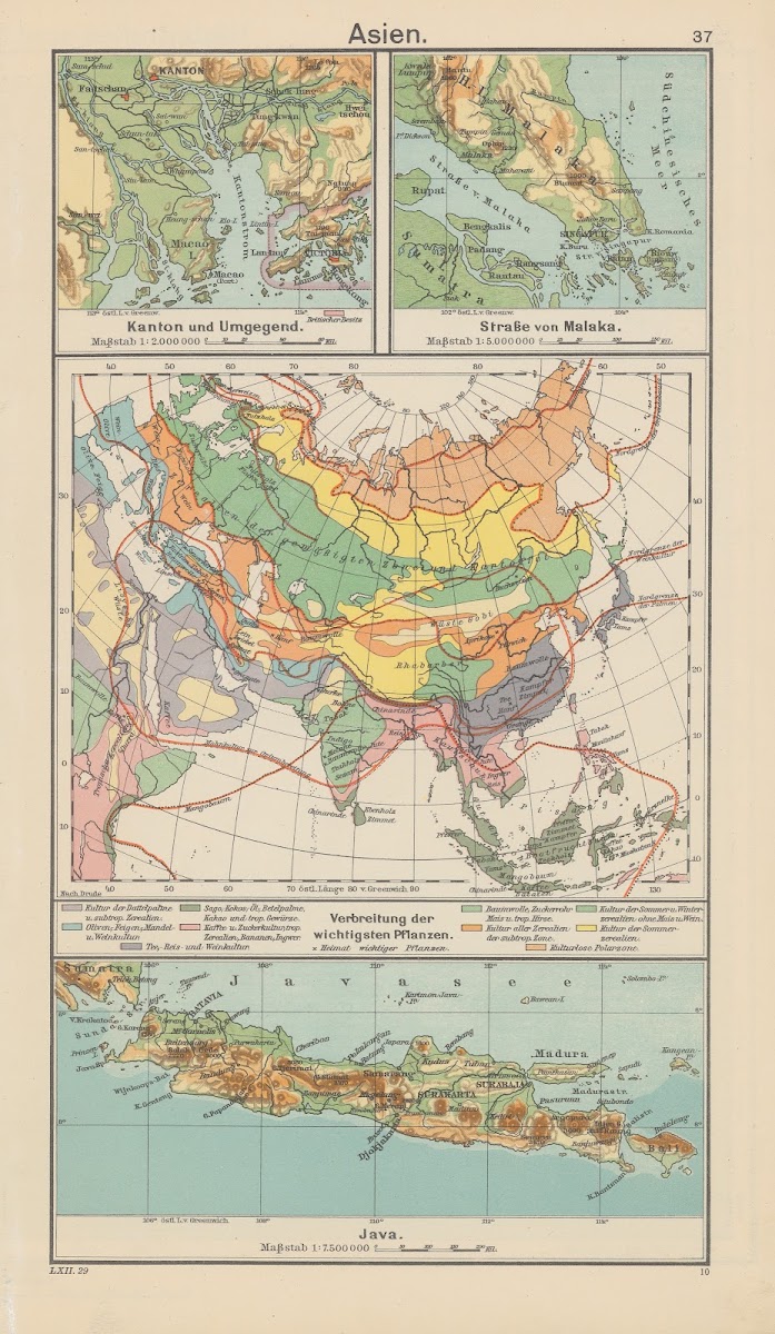 Asien Verbreitung der wichtigsten Pflanzen 1930