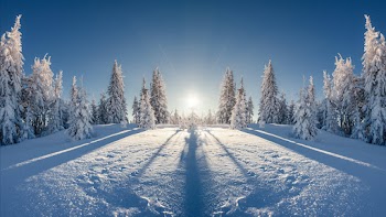 Winter Nature Wallpaper