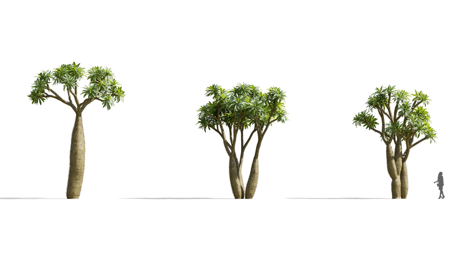 Maxtree - Plant Models Vol.73