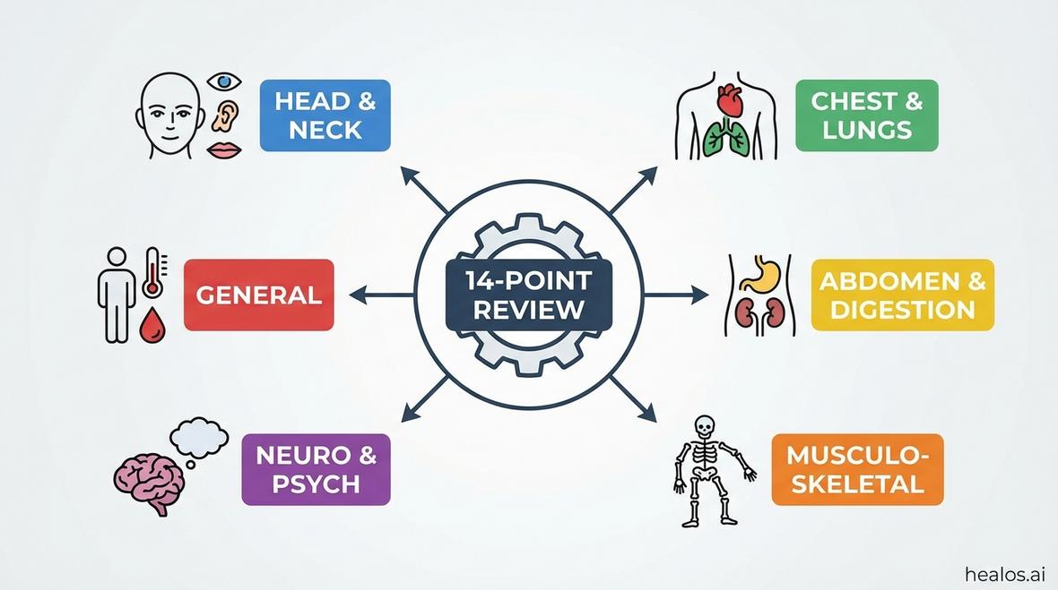 14 point review of systems template