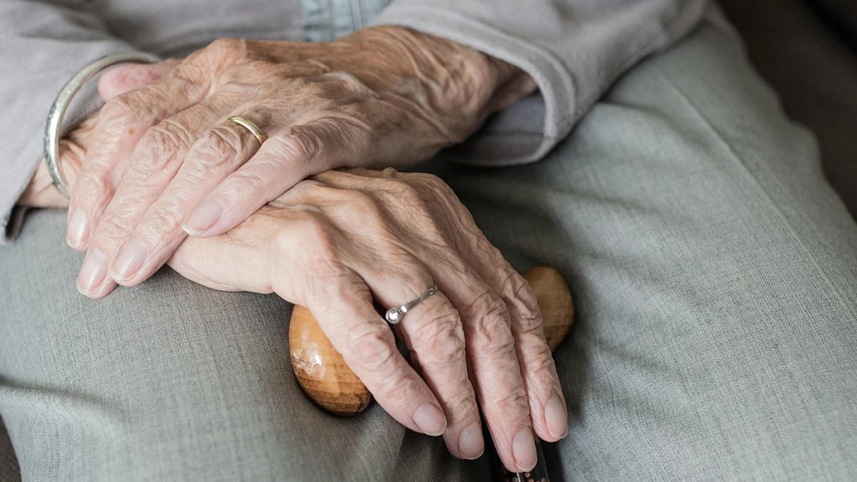 노인 복지 보조금 종류별 수급 조건과 신청 팁