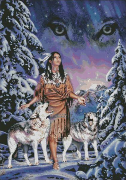 CMP 220299 Wolf Aurora