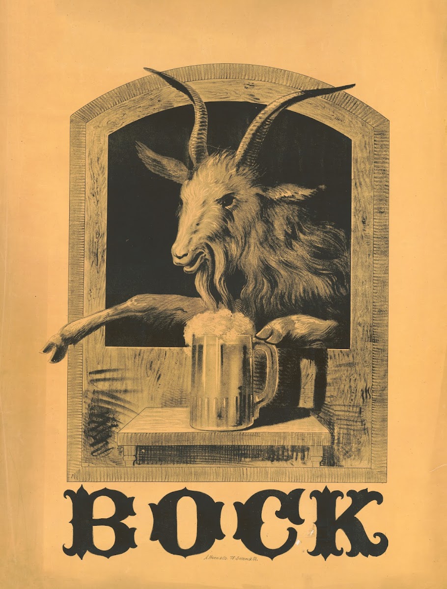 Bock 1880