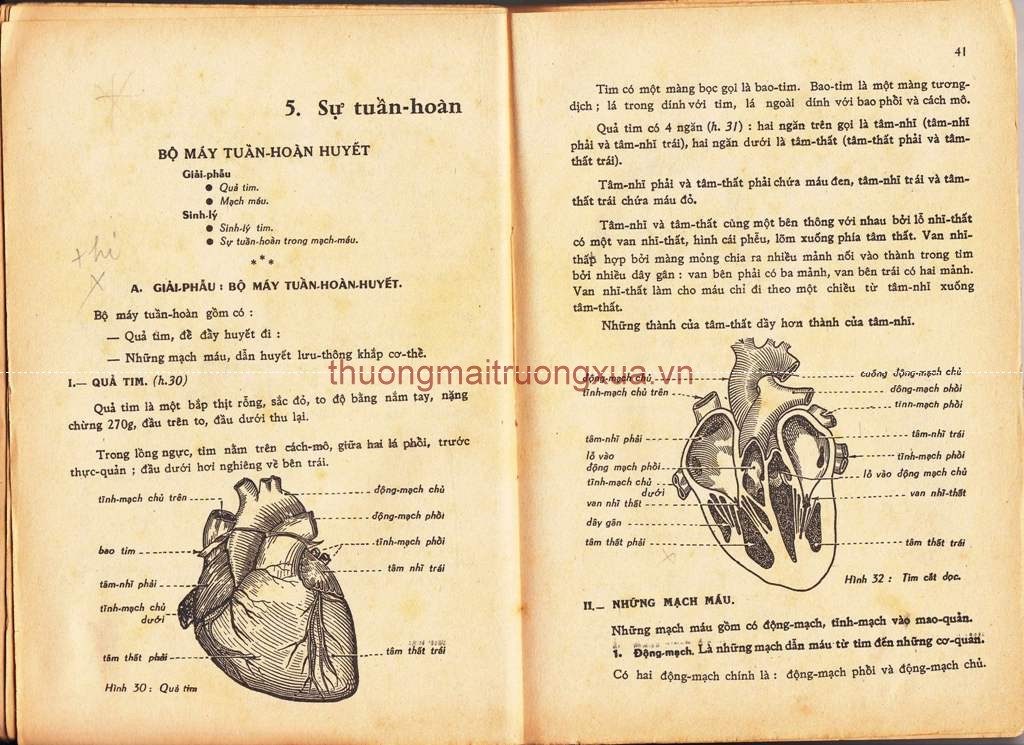 Tập san : Mực tím (số 108 - Xuân 1994) - Trang 22
