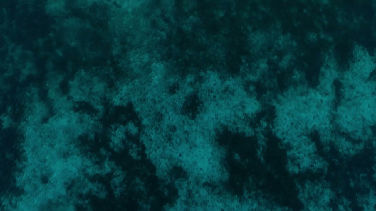 COZUMEL PALACE EXPERIENCES — RESORT BRAND FILM