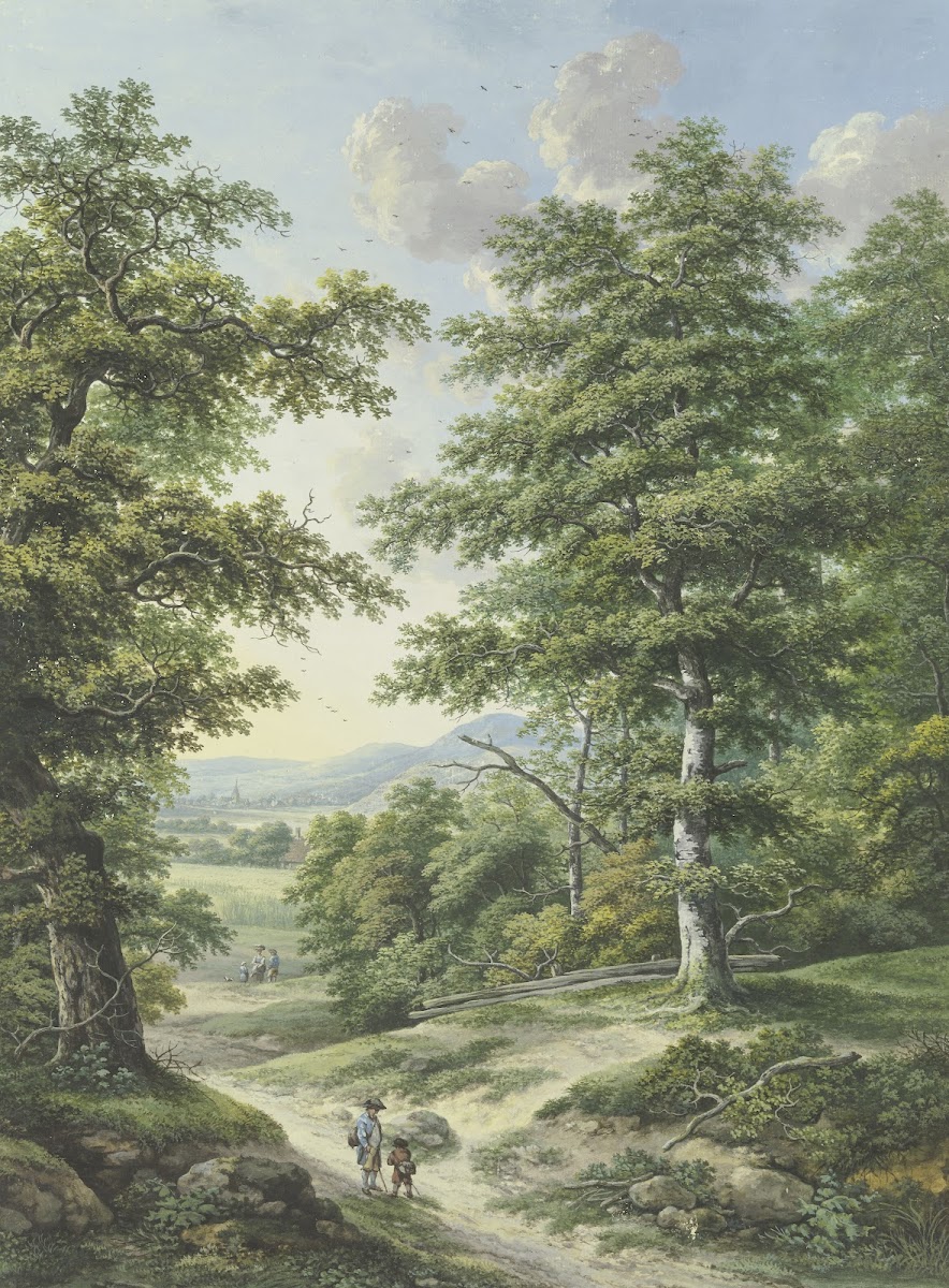 Waldausgang mit Blick auf Kornfelder und ein Dörfchen