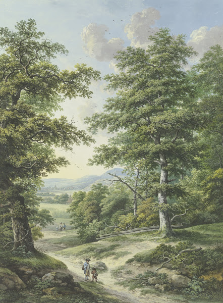 Waldausgang mit Blick auf Kornfelder und ein Dörfchen
