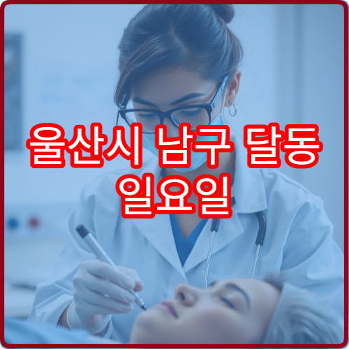 울산시 남구 달동 일요일 치과 진료 가능한 병원 일요일 치과 진료 정보