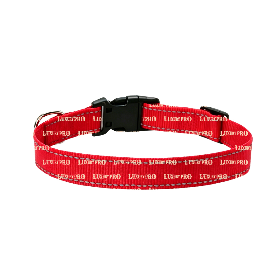 Webbing Pet Collar