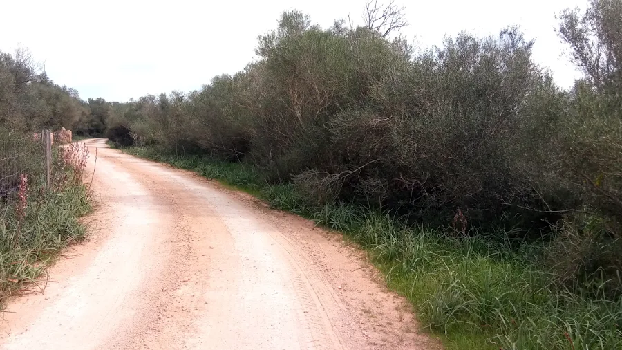 Imagen 3
