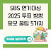 SBS 연기대상 2025 투표 방청 응모 꿀팁 5가지
