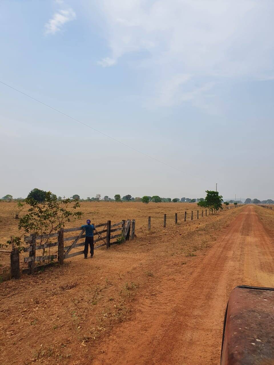 Fazenda no Município de São Félix do Araguaia - MT 6