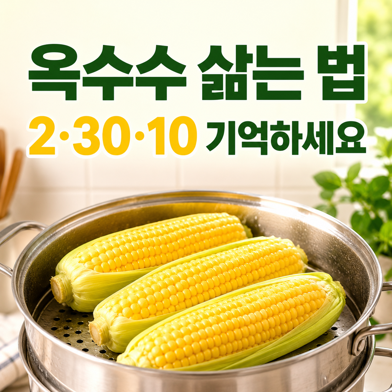 찰옥수수 삶는 법 2·30·10 요약 대표 이미지