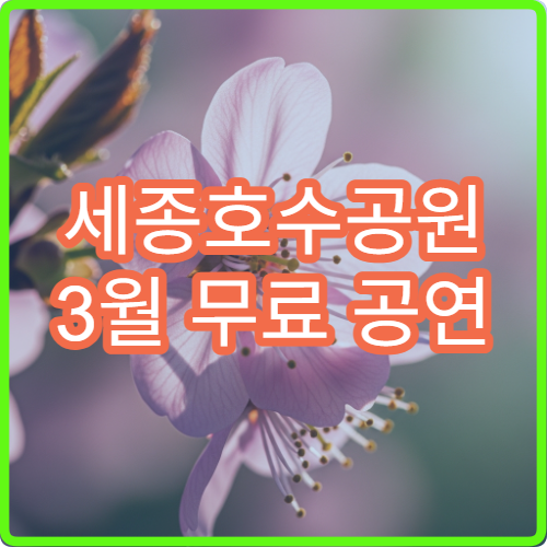 세종호수공원 3월 무료 공연 시간대 좌석 배치 안내