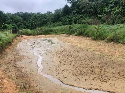 Tanah Pertanian 3 Ekar Kebun Musang King Kuala Pajam — foto 6/10