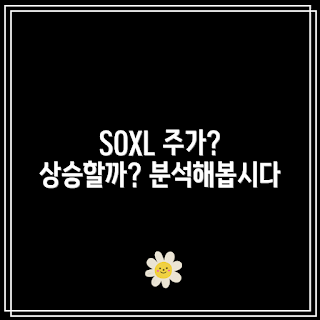 SOXL 주가 전망, SOXL 상승 이유, SOXL 분석, SOXL 미래 어떻게, SOXL 투자 가치