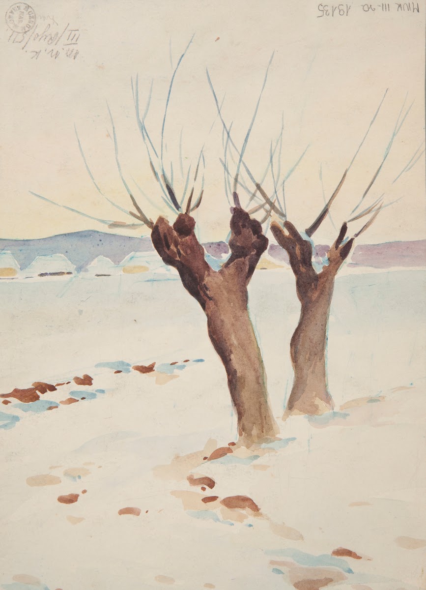 dwie wierzby 1910