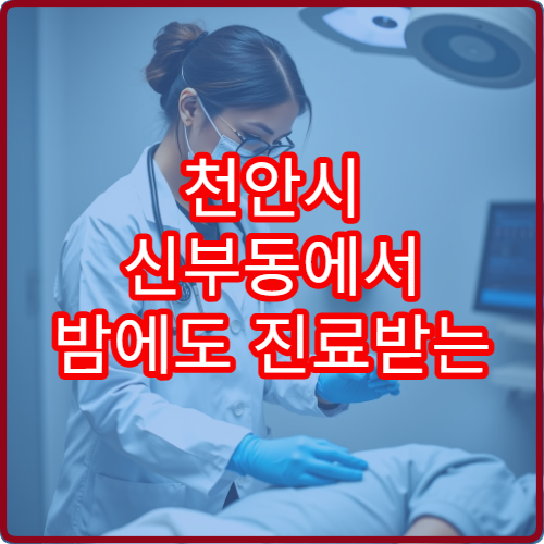 천안시 신부동에서 밤에도 진료받는 내과 야간진료 병원 추천