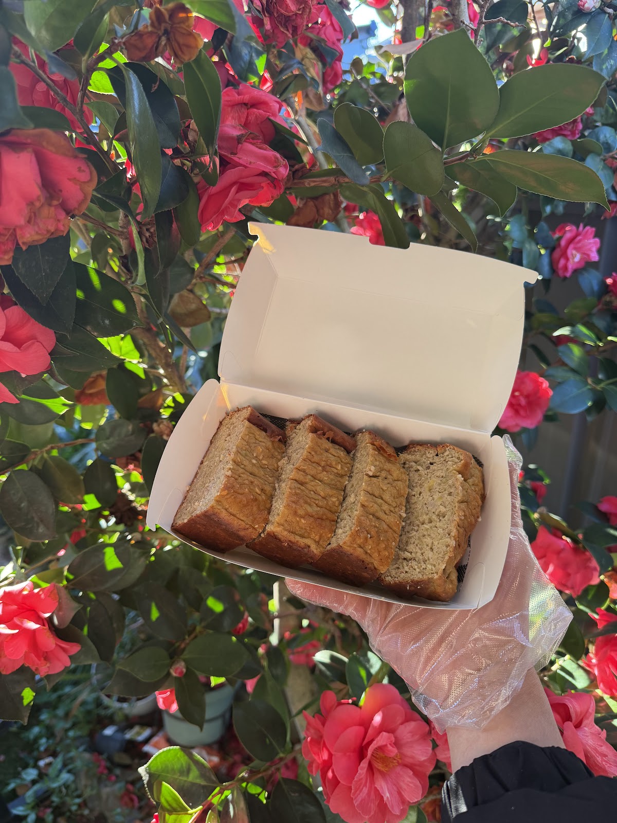 Banana Bread