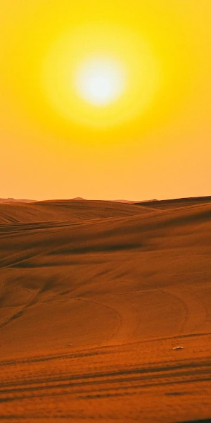 Brown Sand Field  Nature 4K Wallpaper Background