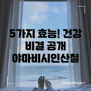 야마비시인산철 효능, 야마비시인산철 건강, 철분 보충제, 면역력 증진, 에너지 증진