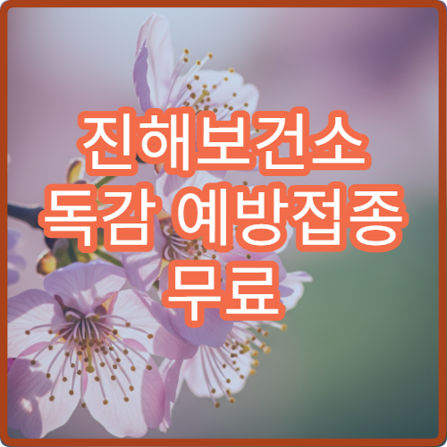 진해보건소 독감 예방접종 무료 대상과 접종 시기 정리
