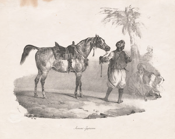Egyptian Mare 1822