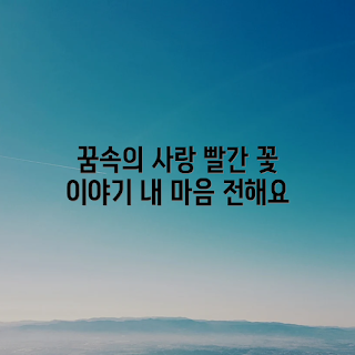 꿈속 빨간 꽃, 뭐가 특별한가, 나의 마음 이야기, 꿈해몽 해석, 왜 꿈에 나타났나