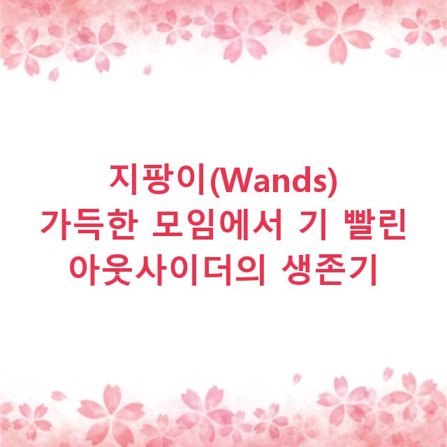 지팡이(Wands) 가득한 모임에서 기 빨린 아웃사이더의 생존기