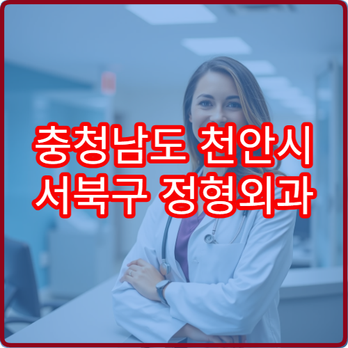 충청남도 천안시 서북구 정형외과 설날 명절 연휴 응급 병원 안내