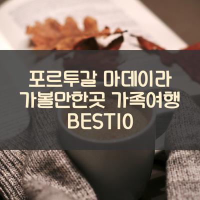 포르투갈 마데이라 가볼만한곳 가족여행 BEST10 썸네일