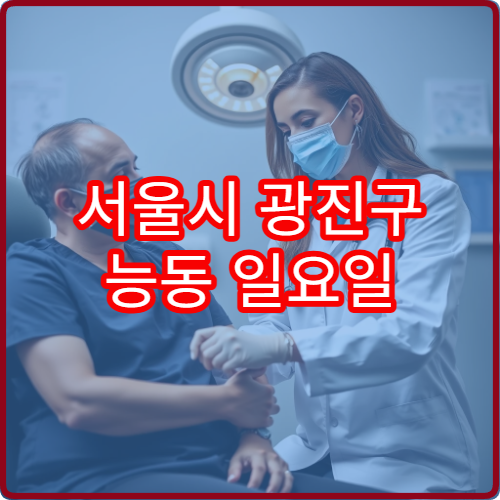 서울시 광진구 능동 일요일 치과 진료 병원 안내 주말 치과 진료 병원 정보