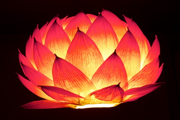 Tự tay làm lồng đèn hoa sen từ giấy nhún (Ảnh: Internet)