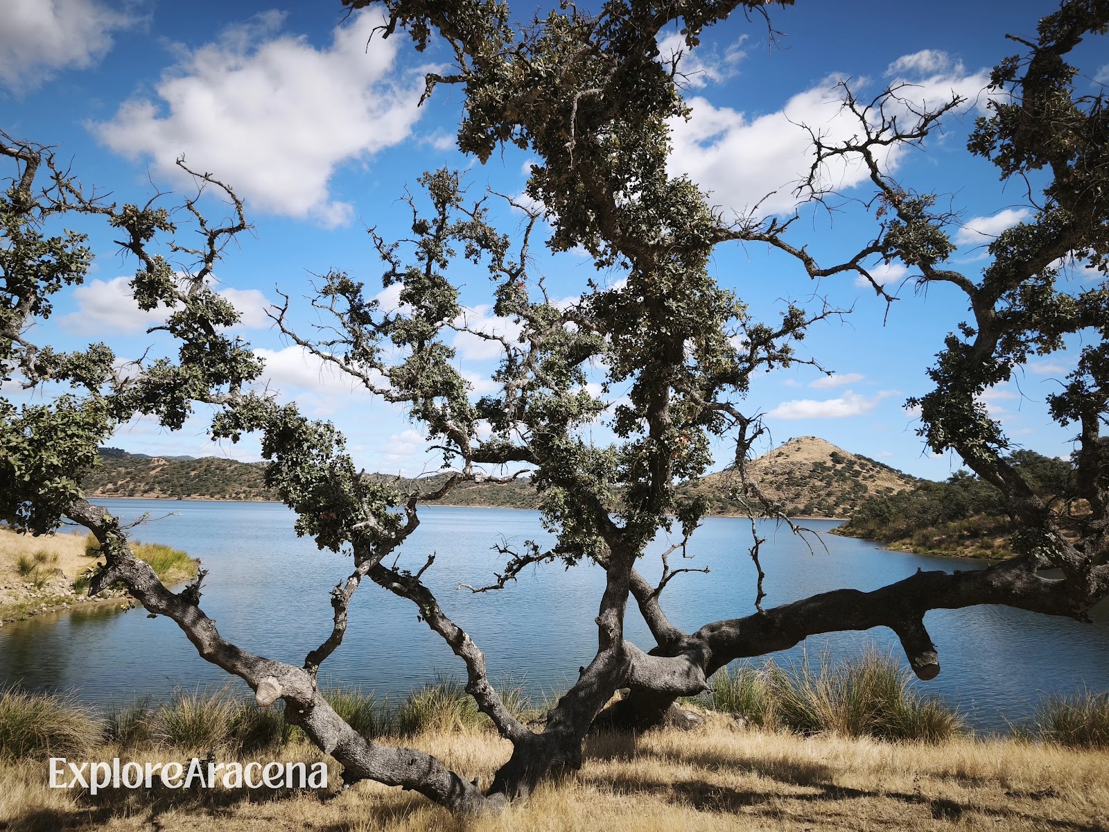 How to Beat the August Heat in Aracena: Natural Pools, Forest Walks & Summer Celebrations