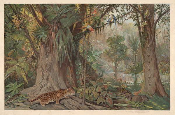 On the upper reaches of the Amazon River 1920