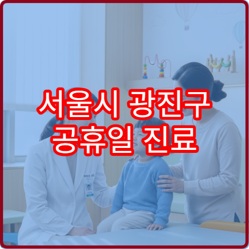 서울시 광진구 공휴일 진료 병원 확인 삼일절 연휴 응급실 운영 여부 및 접수 시간 안내