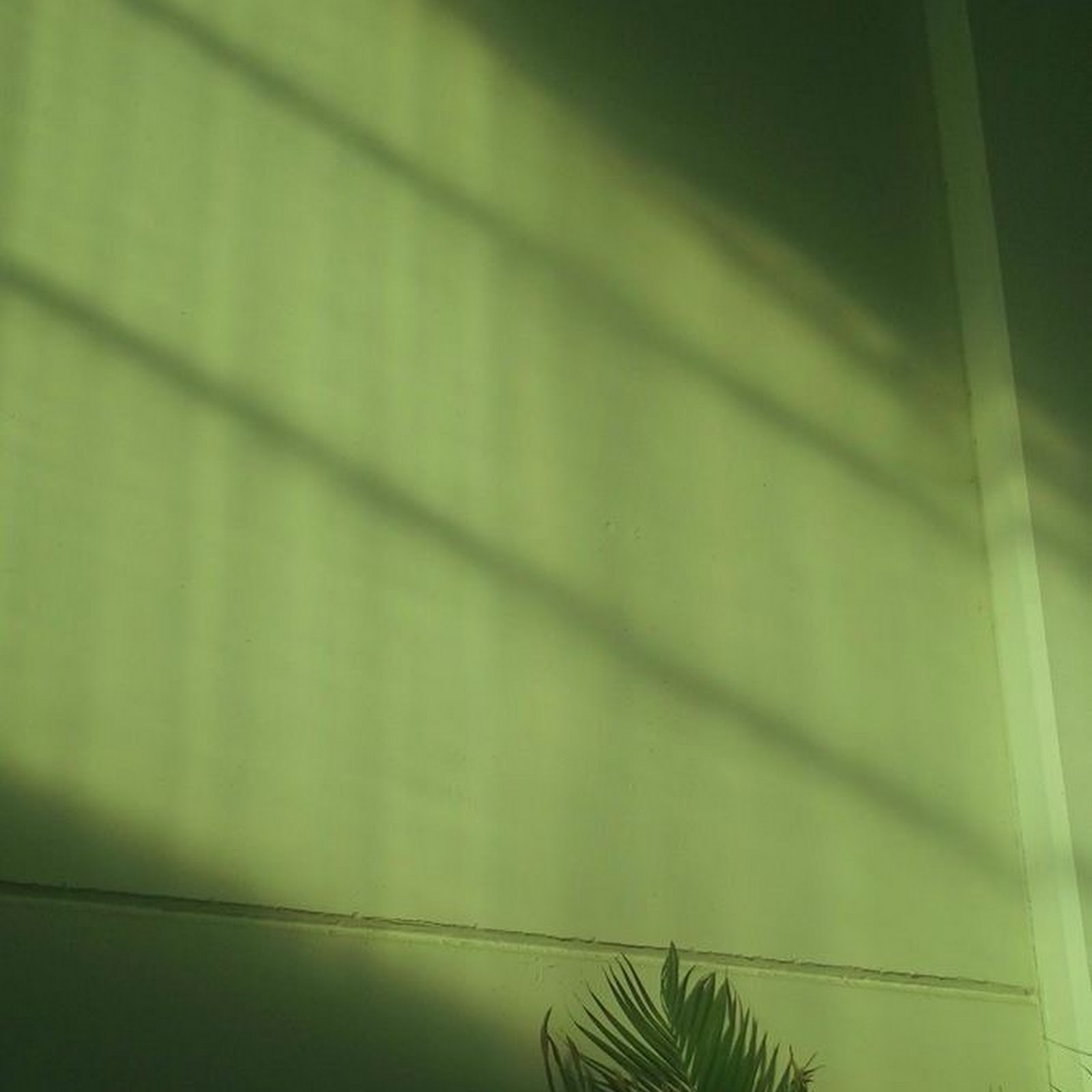Download Sunlight Shadows on Green Wall iPhone