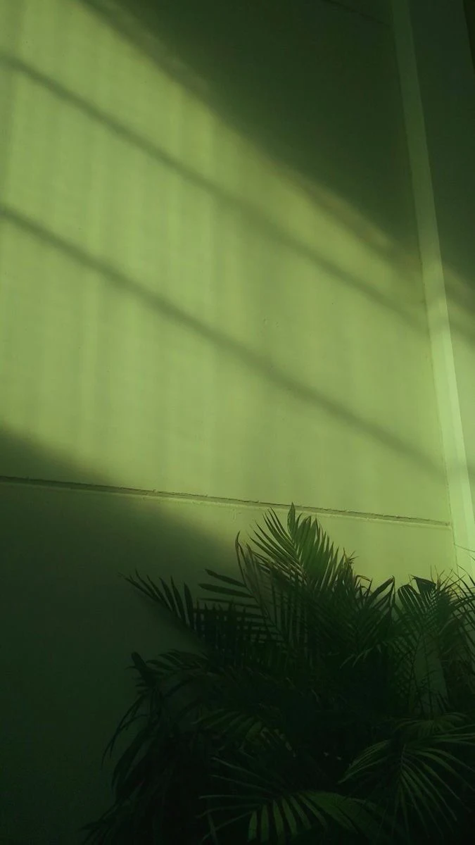 Sunlight Shadows on Green Wall - Minimalist Photography iPhone Wallpaper (675x1200)
