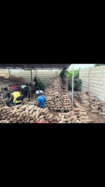 Full yam export process