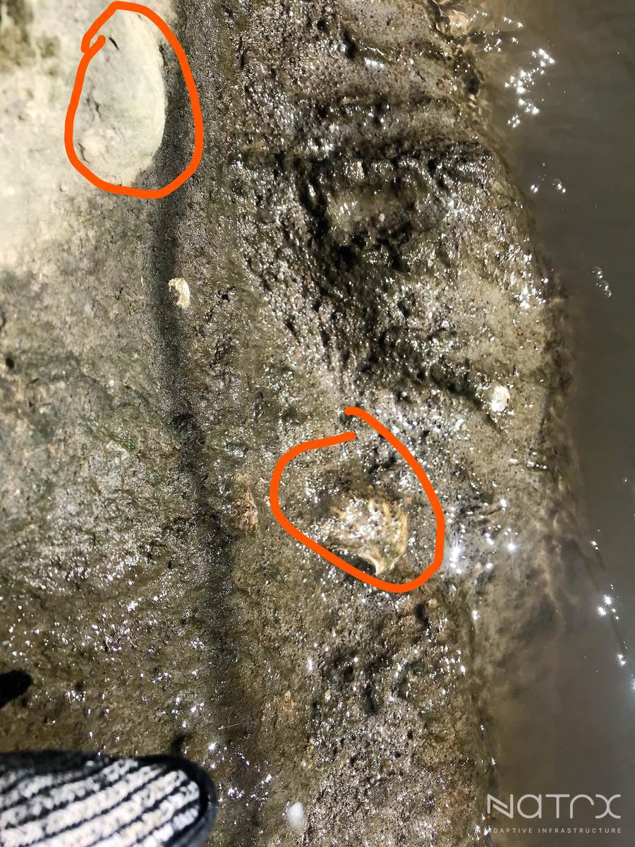 InkedPhoto Nov 02, 10 36 18 AM_edit_LI.jpg