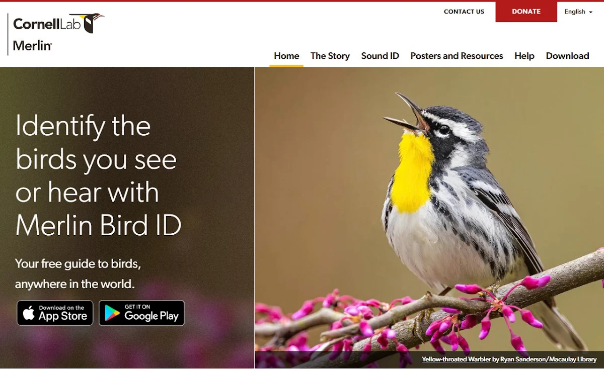Captura de Merlin Bird ID