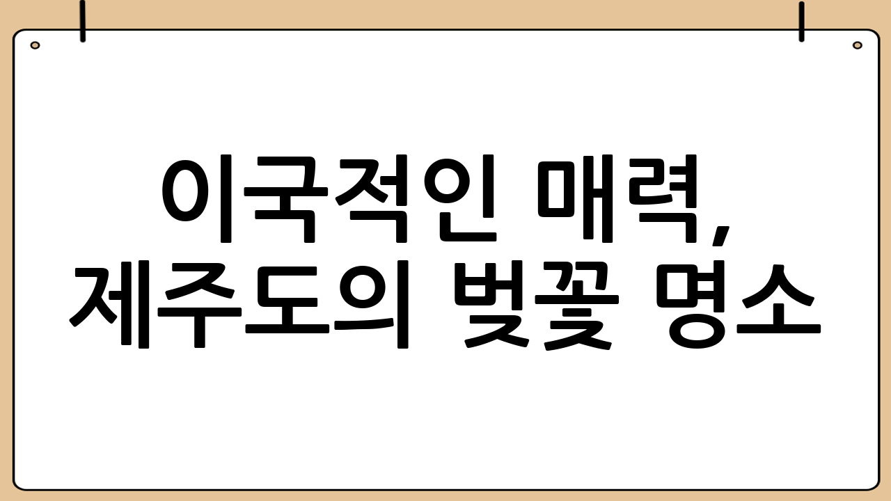 이국적인 매력, 제주도의 벚꽃 명소