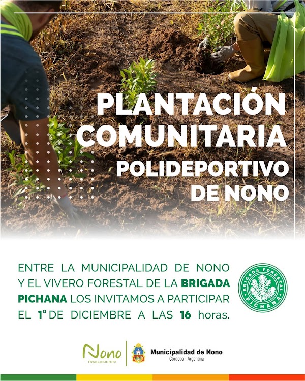 Jornada de Plantación Comunitaria 🌱