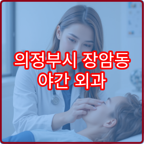 의정부시 장암동 야간 외과 가벼운 상처 봉합 진료 병원 정리