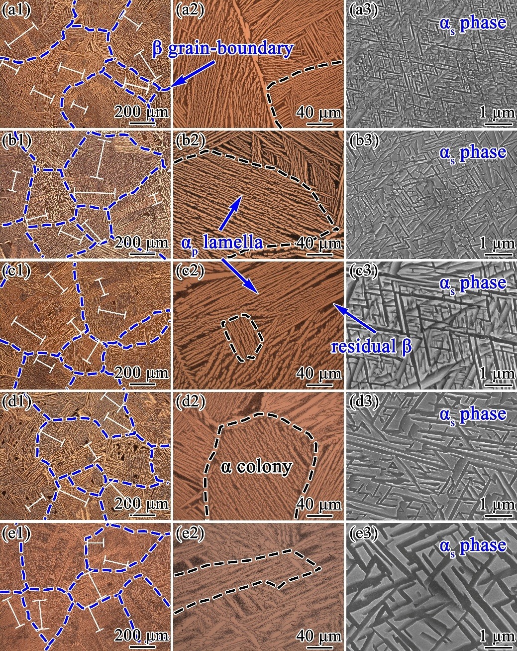Impact toughness, crack initiation and propagation mechanism of Ti6422 alloy with multi-level lamellar microstructure