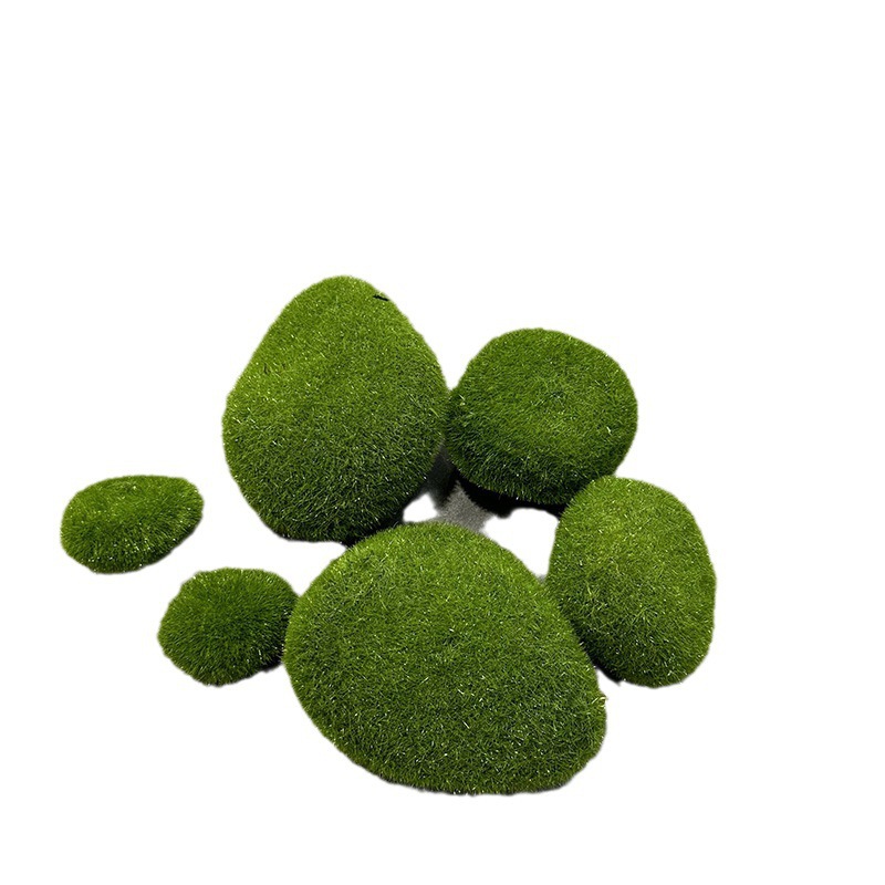 Dried Java Moss Portion