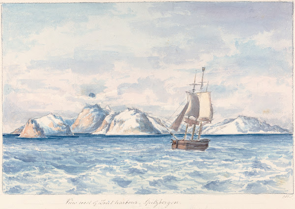 View West of Lout Harbour Spitzberger
