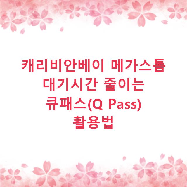 캐리비안베이 메가스톰 대기시간 줄이는 큐패스(Q Pass) 활용법